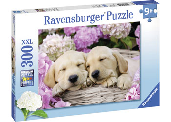 Sweet Dogs In A Basket